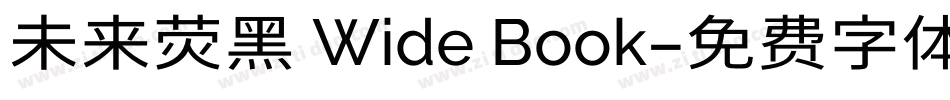 未来荧黑 Wide Book字体转换